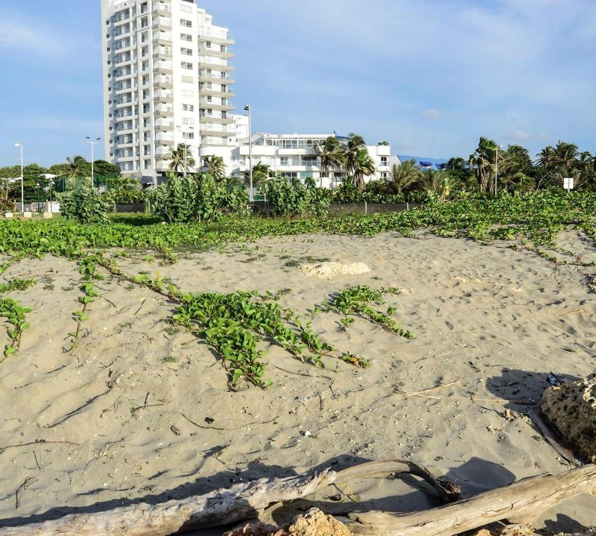 Frontbeach Highspeed Internet *
